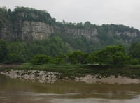 Forest View with Dave Kent