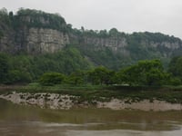 Forest View with Dave Kent