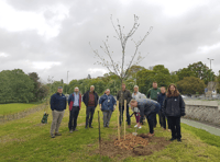 A million trees to take root across the region