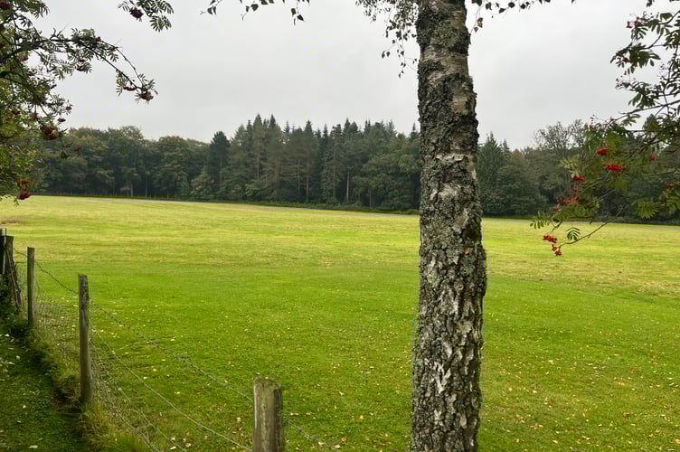 Speech House's Gardens