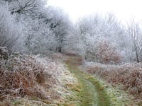 Join Lower Wye Ramblers on Coppett Hill walk
