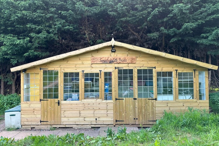 Samantha's Little Prickles