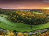 Forest of Dean ranked best autumn walk in the UK 