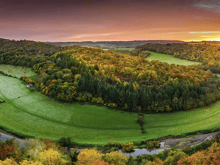 Forest of Dean ranked best autumn walk in the UK 
