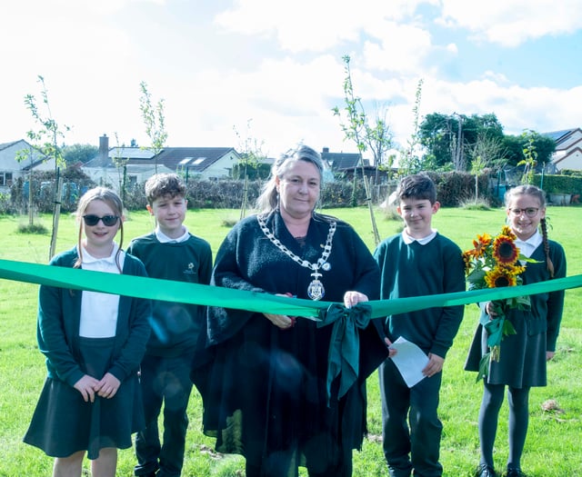 School and community will enjoy fruits of labour
