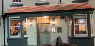 Watch: Boars enjoy a night on the town 