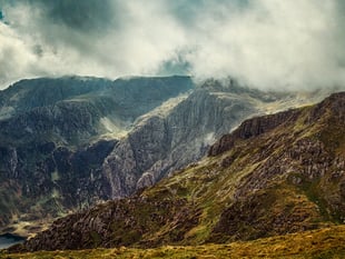 Latest successes from Ross Photo Club
