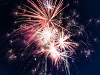 Forest police issues NYE advice 