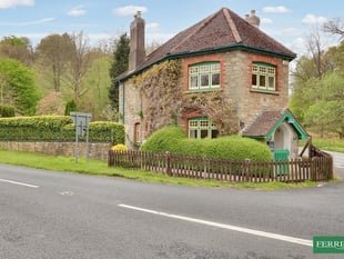 "Picture postcard" Victorian home for sale is full of colour inside 
