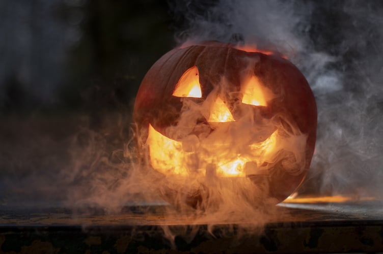 Hallowe'en pumpkin Treloars Holybourne
