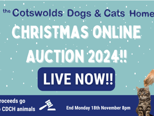 Last chance for Cotswolds Dogs and Cats Home Christmas auction