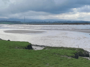 Join Lower Wye Ramblers  for estuary walk