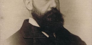 A Forest View with Dave Kent