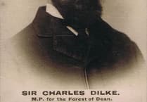 A Forest View with Dave Kent