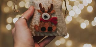 Tips for the best reindeer food this Christmas