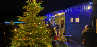 Forest's first Christmas lights switch-on 