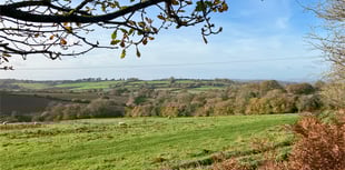 Forestry England buys farmland in the Forest of Dean 

