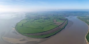 New saltmarsh nature reserve for the Forest of Dean