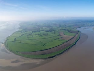 Plans for saltmarsh at
Awre are announced