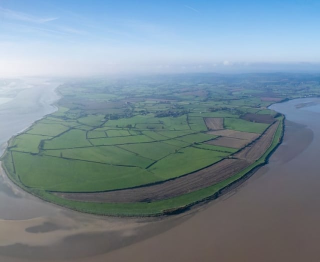 Plans for saltmarsh at
Awre are announced