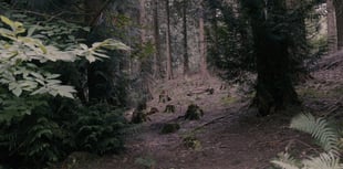 'Common Ground' to screen in Cinderford 