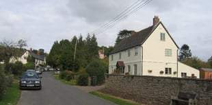 Forest View with Dave Kent