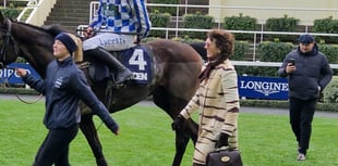 Venetia Williams' Cheltenham plans