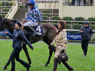 Venetia Williams' Cheltenham plans