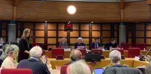 Reorganisation will dominate 'like Brexit' says councillor