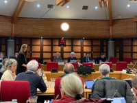 Reorganisation will dominate 'like Brexit' says councillor