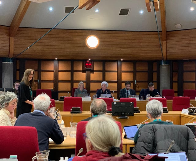 Reorganisation will dominate 'like Brexit' says councillor