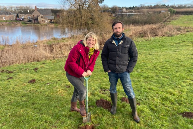 Noxon Farm's tree planting event for farm resilience
