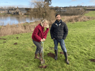 Tree planting initiative launched to boost sustainability