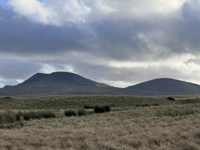 Join Lower Wye Ramblers' Dragons Back hike