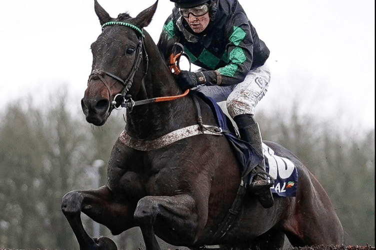 Everyone's hoping Iwilldoit can do it at the Cheltenham Festival