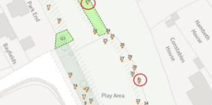 Work approved on diseased trees at Dymock playground