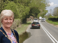 ‘Staggering’ green waste charge increase sparks concerns  at council
