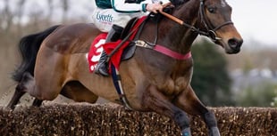 Venetia ponders Ascot Chase bid for L'Homme Presse 