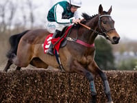 Venetia ponders Ascot Chase bid for L'Homme Presse 