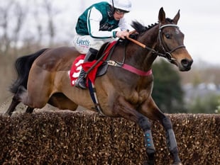 Venetia ponders Ascot Chase bid for L'Homme Presse 