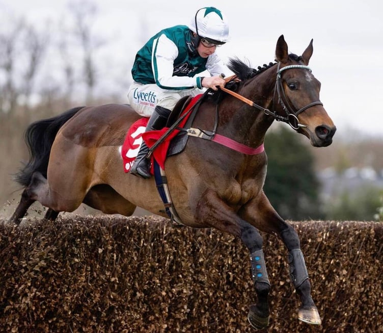L'Homme Presse is out of the Gold Cup but may race the Grand National