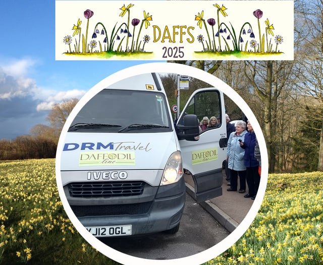 The return of the free daffodil bus shuttle