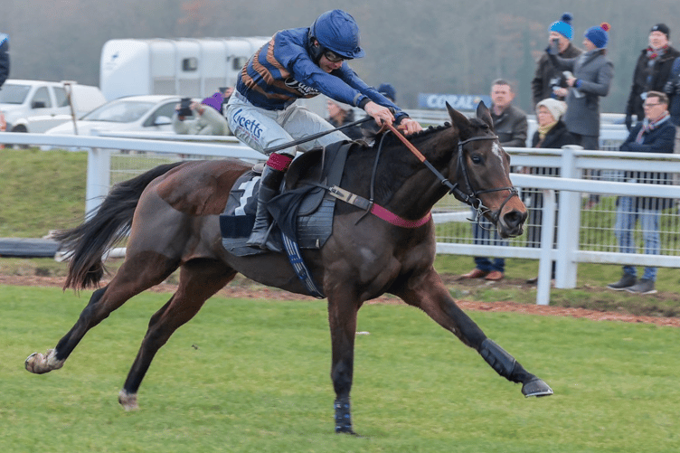 Djelo impressed again at Newbury. Archive photo: Great British Racing