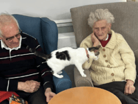 Feline friends bring joy to care home 