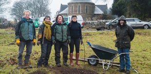 Community comes together to replant walnut trees
