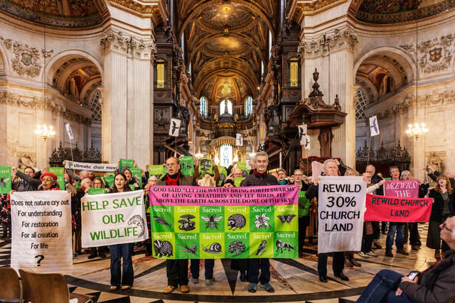 Forest choir protests at St Paul’s 