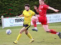 Daffs bloom
in Marsh Cup