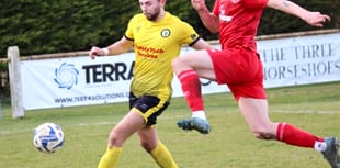 Daffs bloom
in Marsh Cup