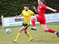 Daffs bloom
in Marsh Cup