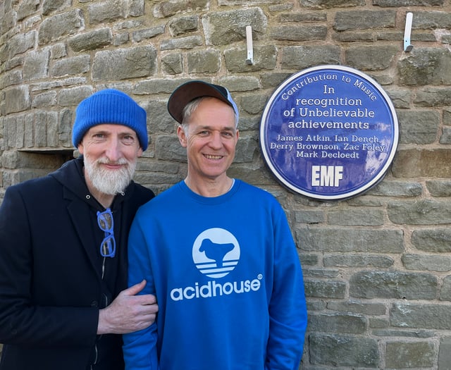 Forest View with Dave Kent